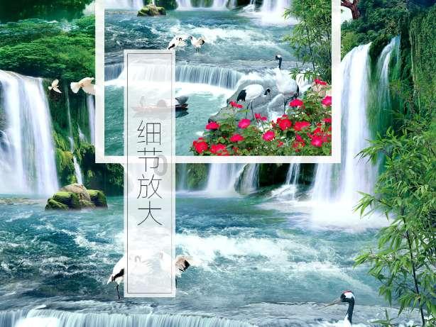 白孔雀救援